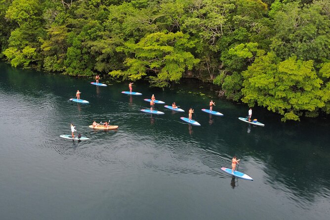 Sunrise by Paddle or Kayak with Floating Picnic - Is $29.80 good value?