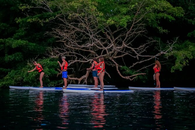 Sunrise Paddle Quest: Embrace the Dawn on Bacalar's Waters - What the $38.75 price really covers