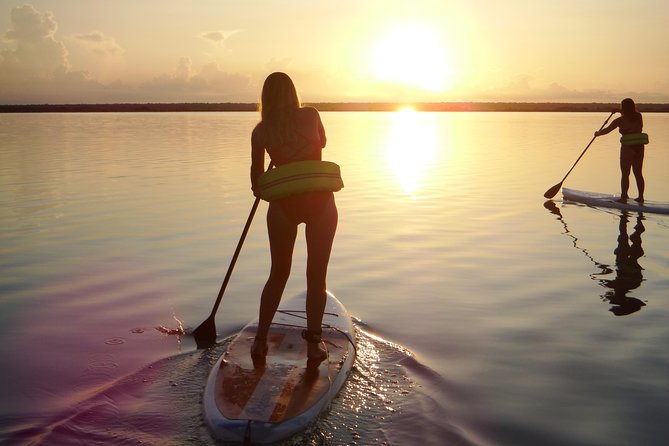 Sunrise Tour (Stand Up Paddle or Kayak) - Is the tour good value?