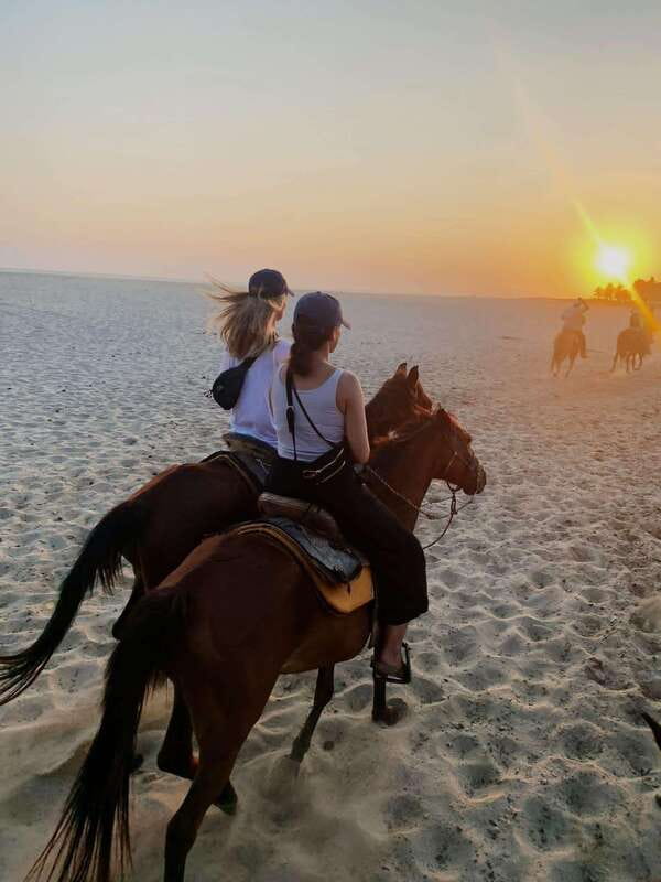 Sunset by Horse on the Beach - Through fields, cattle land, and the river