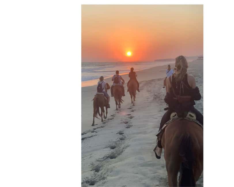 Sunset by Horse on the Beach - Who will enjoy this most