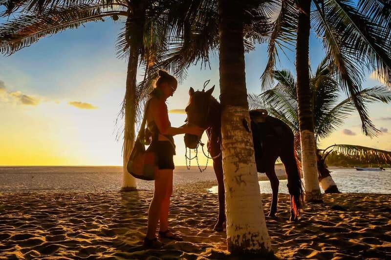 Sunset by Horse on the Beach - Meeting the horses and local guides