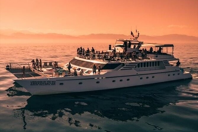 Sunsets and Whales Mega Yachts ALL INCLUSIVE: Puerto Vallarta - Whale watching in the late afternoon