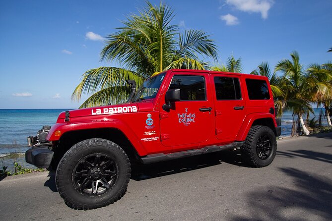 Super Cozumel Combo Snorkel by Boat and Jeep Exploration (Private) - Guides can make or break the day