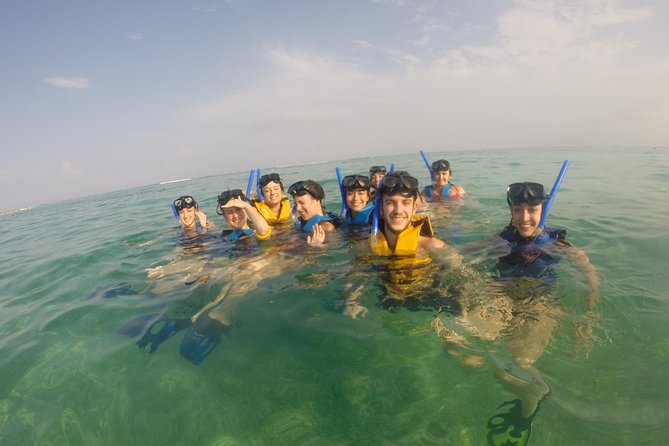Swim with sea turtles - Why the private guide makes a difference