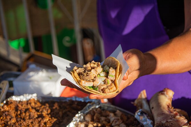 Taco Safari in Cabo San Lucas - Five Stops, Eight Tastings, and a Lot of Variety