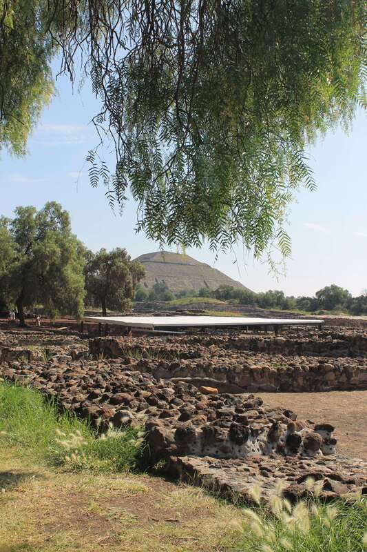 Teotihuacan from Mexico City with early access - Palace of Quetzalpapalotl and the smaller details