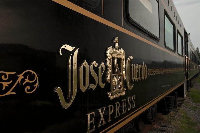 Tequila Day Trip from Guadalajara with Jose Cuervo Express Train - The agave fields and the jima demonstration