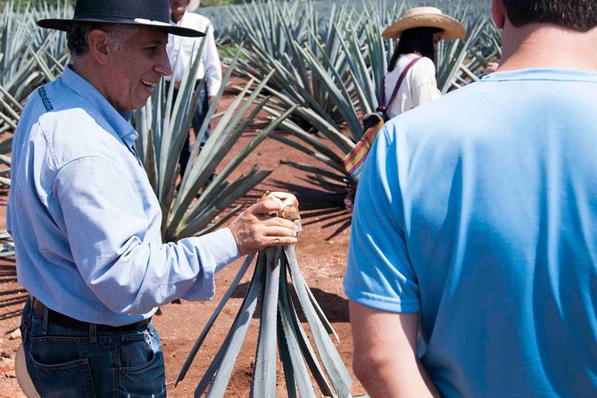 Tequila distillery experience, Jose Cuervo & Tequila Magic Town - Two hours in Tequila town