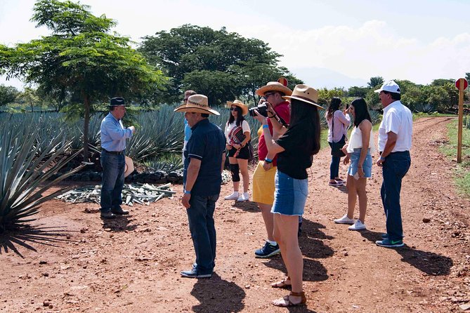 Tequila distillery experience, Jose Cuervo & Tequila Magic Town - What the $79.80 price really buys