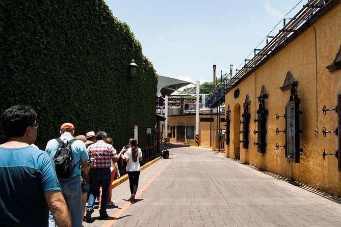 Tequila distillery experience, Jose Cuervo & Tequila Magic Town - Who should book this experience?