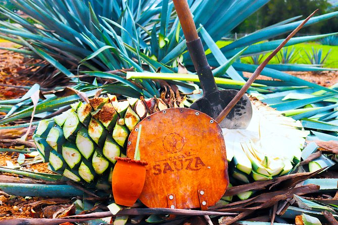 Tequila Express - Tequila Express at a glance