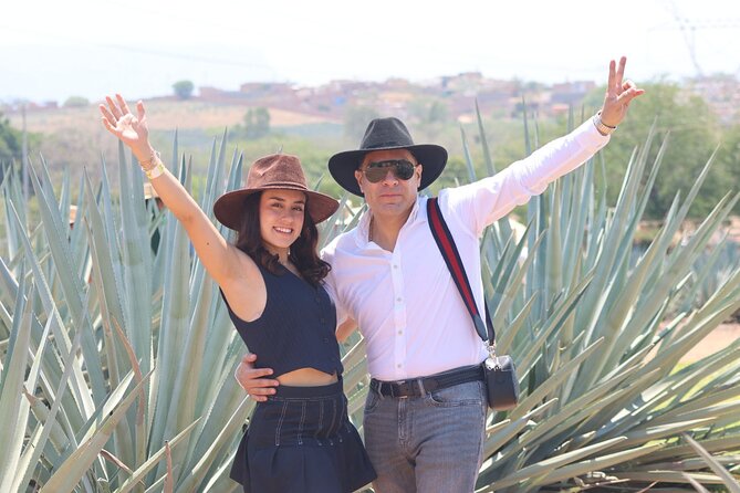 Tequila Express - Seeing agave at Casa Sauza