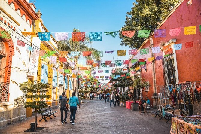 Tequila Premium Tour Destination Agave - Key things to know before booking