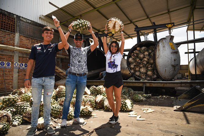 Tequila Route Experience from Guadalajara - El Arenal, the gateway to the tequila region