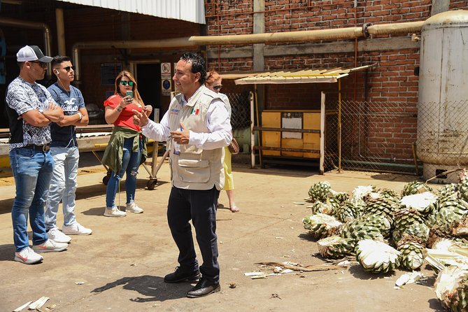 Tequila Route Experience from Guadalajara - Time in Tequila’s central streets