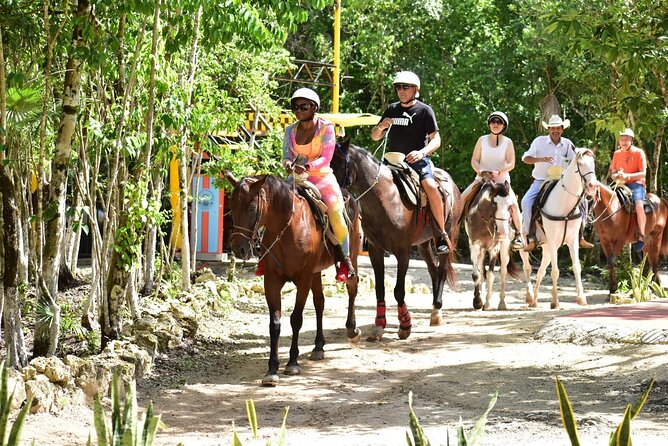 Tequila Tasting, Horseback Riding,ATV, Ziplines Cenote and Lunch - Who Will Get the Most Value From This Tour?