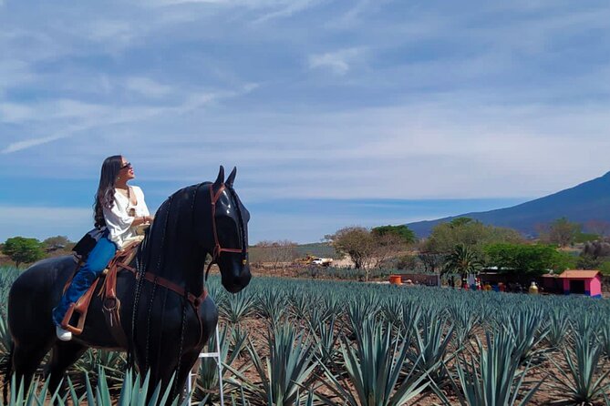 Tequila tour with tasting. - Leaving Guadalajara at 10 a.m.