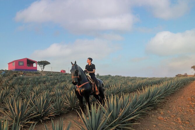 Tequila tour with tasting. - How much value do you get for $80?