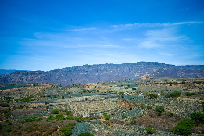 Tequila tour with tasting. - The guides and the feel of the day