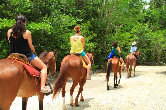 The best ATVs, zipline, cenote tour with lunch and transportation - ATVs with Honda and Yamaha power