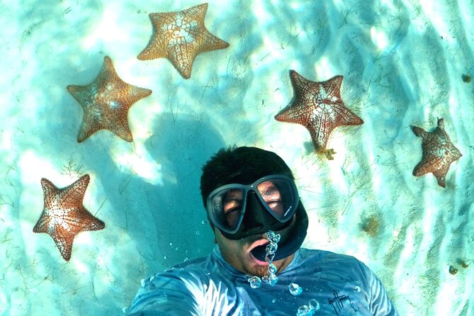 The Cozumel Turtle Sanctuary Snorkel Tour - Getting to the correct pier in Cozumel
