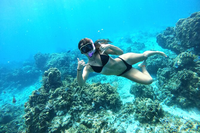The Cozumel Turtle Sanctuary Snorkel Tour - What to bring, and what to leave behind