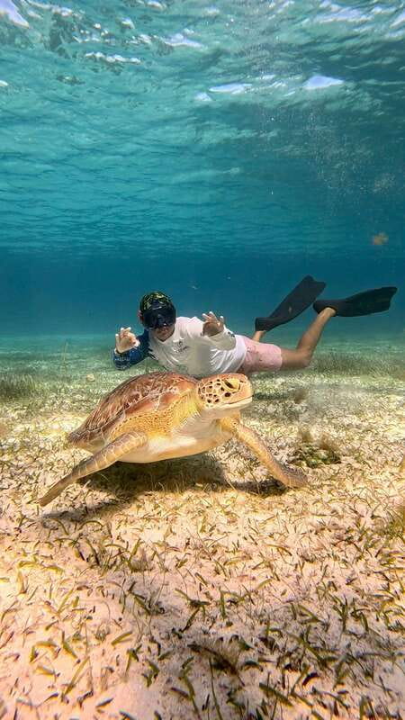 The Cozumel Turtle Sanctuary Snorkel Tour - Safety, fitness, and who should skip it