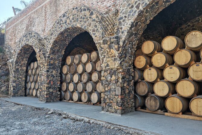 The Fire TOUR - Pyramids, Volcanoes, Agaves & Tequila - La Alborada: seeing how tequila is made