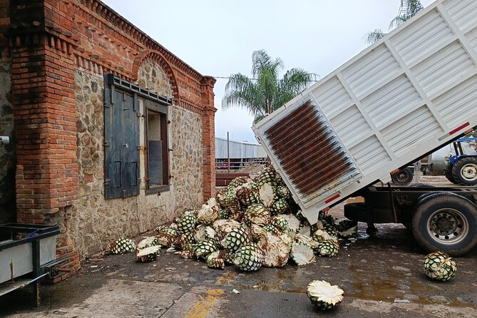 The Fire TOUR - Pyramids, Volcanoes, Agaves & Tequila - Who will enjoy the Fire Tour most