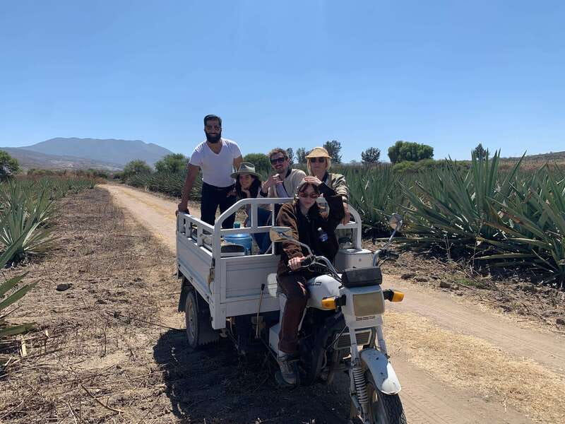 The Mezcal Journey - What the strongest praise tells you