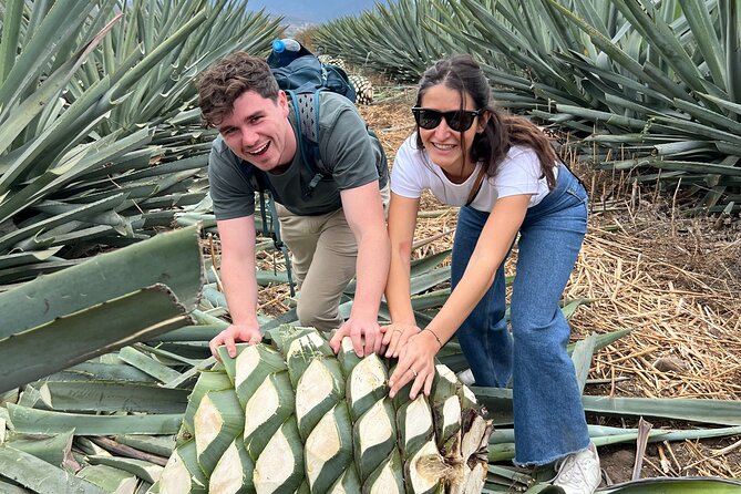 The Mezcal Journey - Three hours inside an artisanal distillery