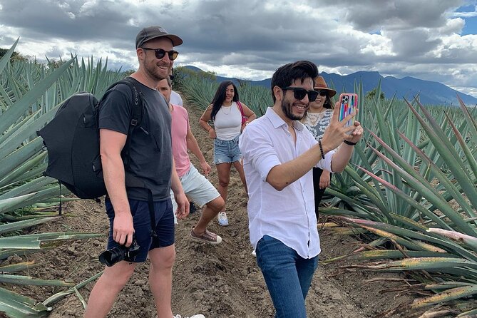 The Mezcal Journey - The return to Oaxaca City