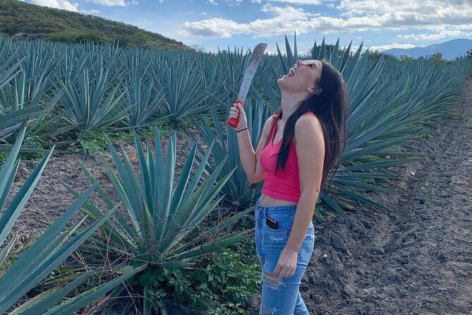 The Mezcal Journey - Is $105 a fair price?