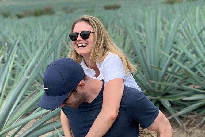 The Mezcal Journey - Campo Enigma and the agave fields
