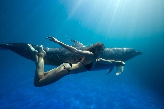 The only Natural Space Dolphin Encounter in Cabo Optional Pickup! - Four Things to Know Before You Book