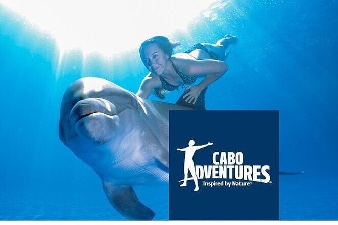 The only Natural Space Dolphin Encounter in Cabo Optional Pickup! - What This Cabo Dolphin Encounter Really Is