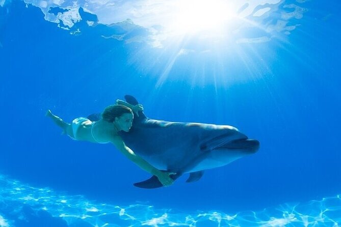 The only Natural Space Dolphin Encounter in Cabo Optional Pickup! - Why the Guides Matter More Than the Sightseeing Labels