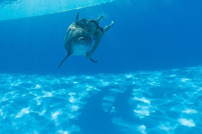 The only Natural Space Dolphin Encounter in Cabo Optional Pickup! - The Photo and Video Cost Needs Careful Attention