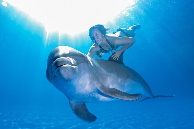 The only Natural Space Dolphin Encounter in Cabo Optional Pickup! - Who Will Enjoy This Most?