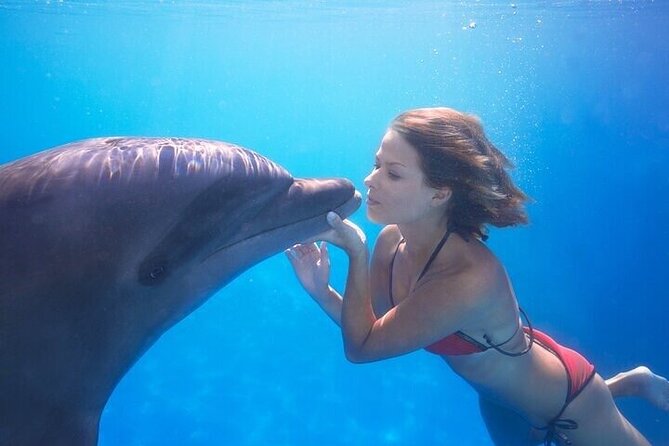 The only Natural Space Dolphin Encounter in Cabo Optional Pickup! - Meeting the Dolphins at the Facility