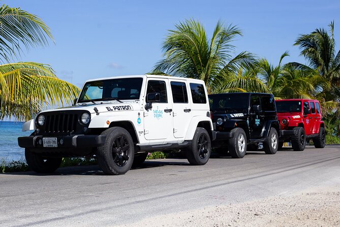 The Original Jeep Tour Revamped by Tortugas Cozumel® (Private) - The drawbacks you should take seriously