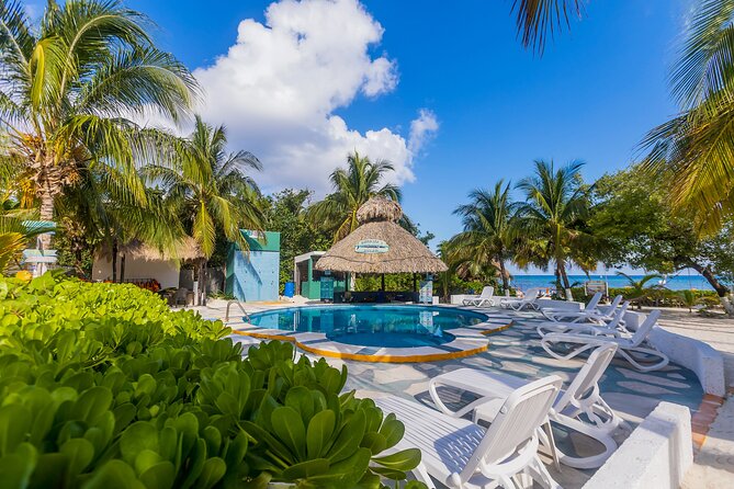Tikinxic Barefoot Fish Guided Cookout Experience in Cozumel - What the meal is really worth at $106