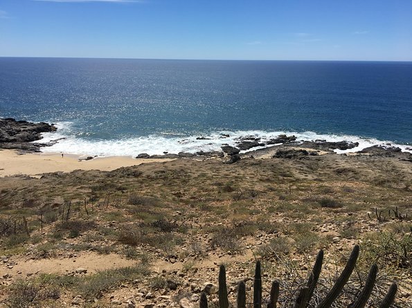 Todos Santos Day Trip from Cabo San Lucas - The Velvet Box: pearls, education, and a sales pitch