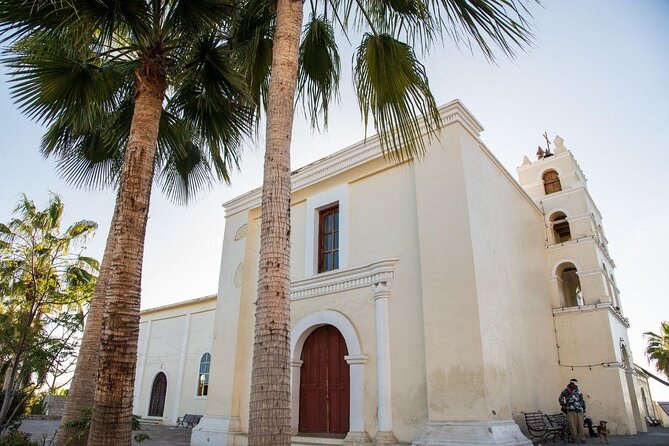 Todos Santos Day Trip from Cabo San Lucas - The town walk: galleries, murals, and limited free time