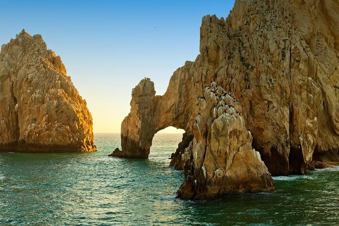 Tour to Arch in the only Clear Boat in Cabo Cruise Hotel PICKUP! - Why a Clear Boat Makes Cabo’s Coast More Interesting