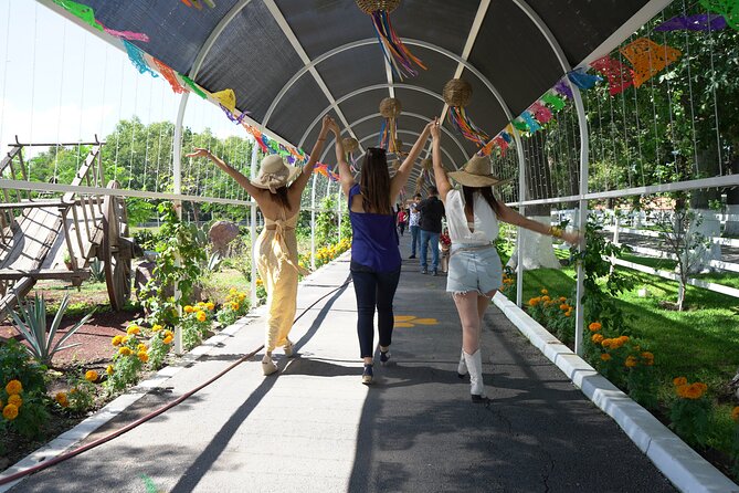 Tour to Lake Chapala, MAGIC TOWN of Ajijic from Guadalajara - Chapala boardwalk and traditional snacks