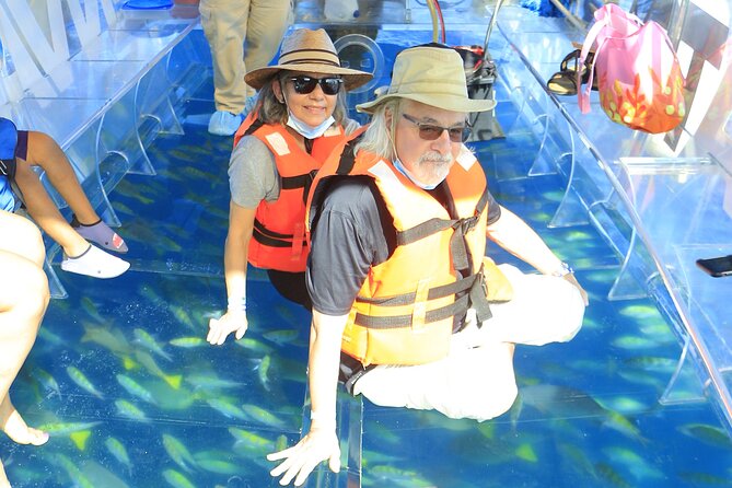 Tours in Cabo, Paseo al Arco and Fin de la Tierra in the only Clear Boat - Who Should Choose This Cabo Boat Tour