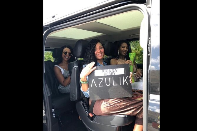 Transfer in Luxury Mercedes Benz Minivan - From Customs to the Mercedes V250