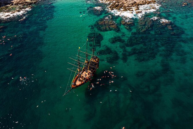 Treasure Hunt Snorkeling Lunch Cruise from Cabo San Lucas - What to expect from the snorkeling stop